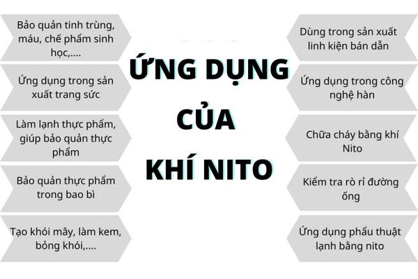 Vai Trò Và Ứng Dụng Của Khí Nitơ Trong Đời Sống